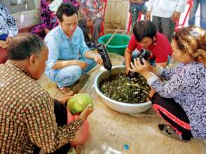 produce fermented liquid of local herbs