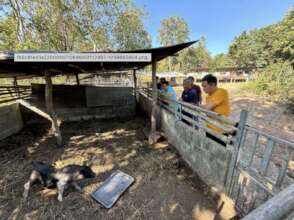 Cambodian Staff at Tabutawan Piggery