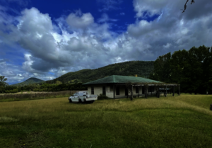 Gorton Forest Homestead