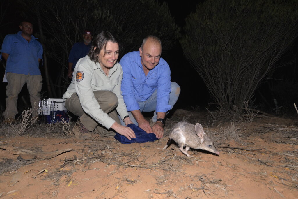 Support wildlife translocations across Australia