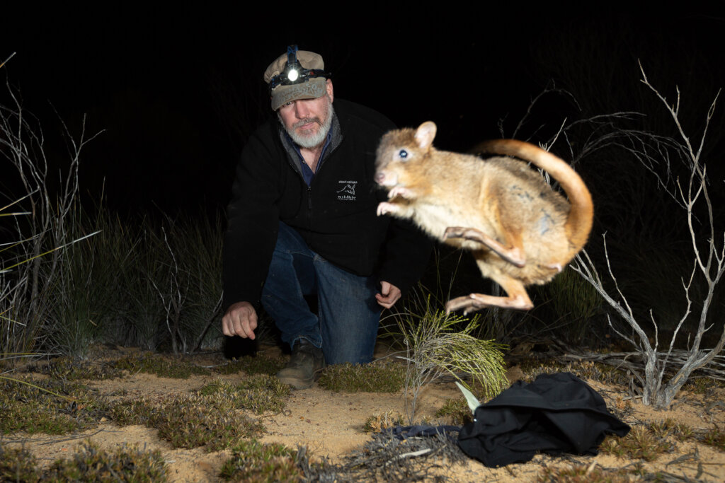 Support wildlife translocations across Australia