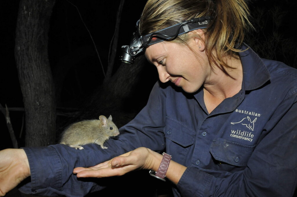 Support wildlife translocations across Australia