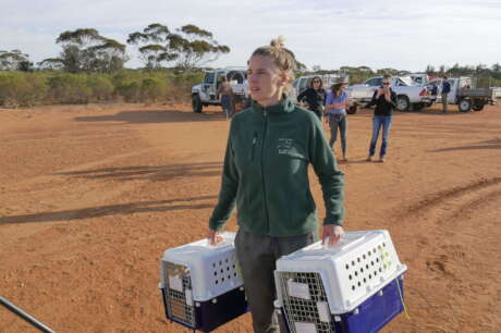 Support wildlife translocations across Australia