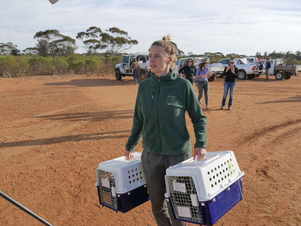 Support wildlife translocations across Australia