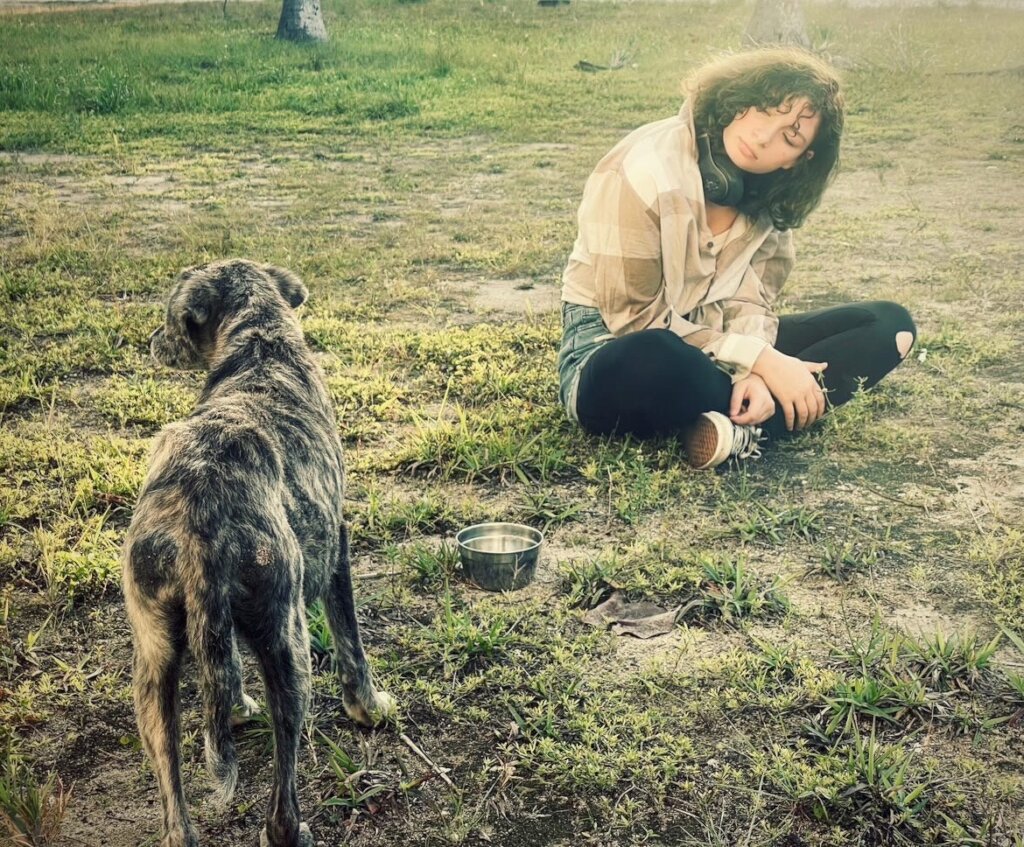 Help Spay & Neuter the Potcakes of South Andros