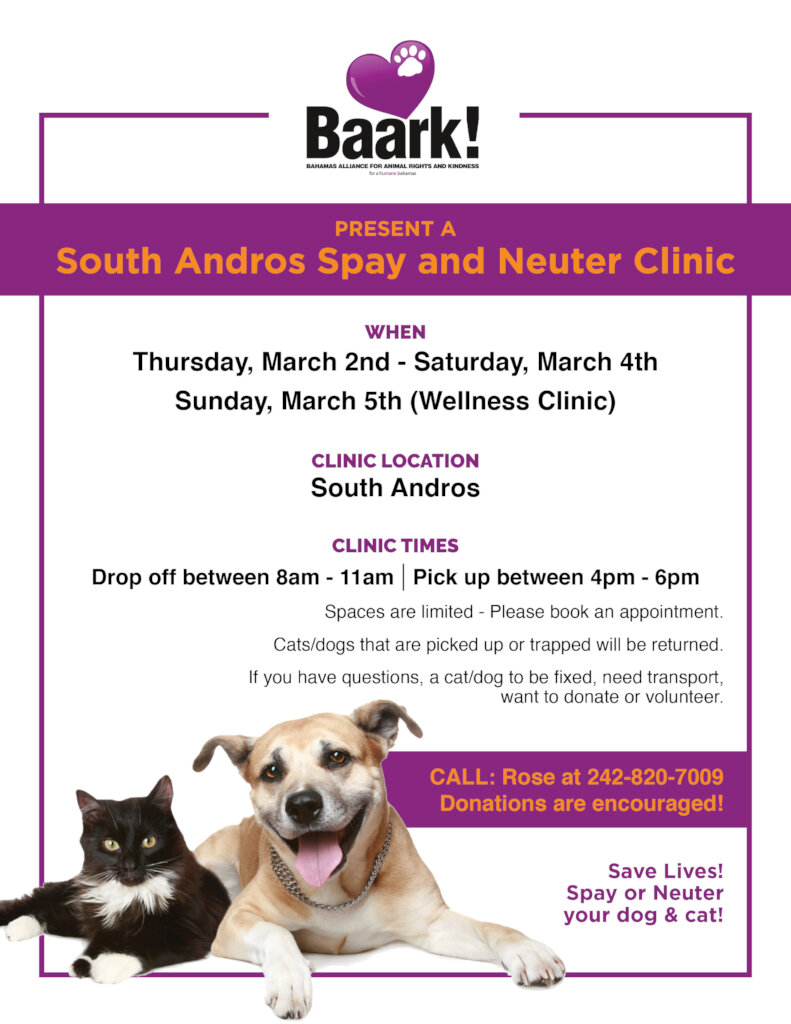 Help Spay & Neuter the Potcakes of South Andros
