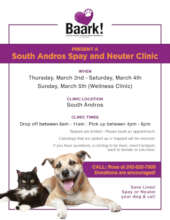 Clinic Flyer