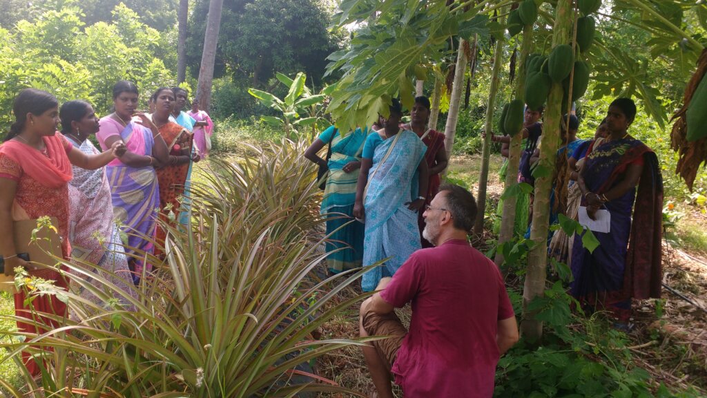 50 years organic farming & regenerative approach