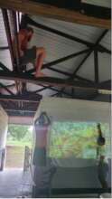 Preparing for parrot conservation training