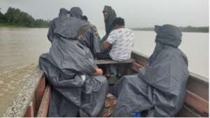 Parrot counting on the rainy river