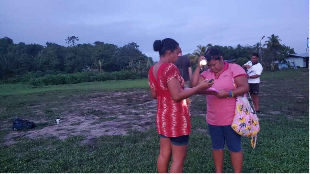 Parrot counting in the village