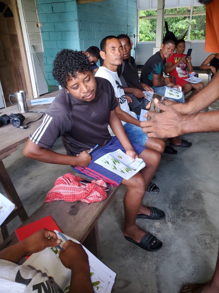 Indigenous Parrot Conservation in Suriname