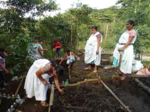 Work in community gardens