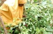 HELP TRAIN 100 RURAL WOMEN TO ADDRESS HUNGER