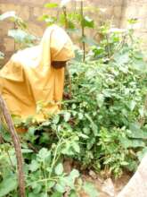 HELP TRAIN 100 RURAL WOMEN TO ADDRESS HUNGER