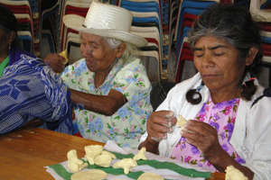 Bring Literacy to Indigenous Women - Oaxaca Mexico