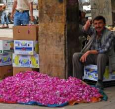 Street seller of rose petals in Aleppo