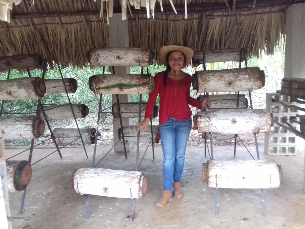 Melipona Beecheii Conservation