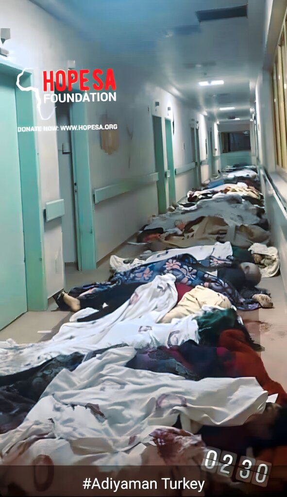 Help for Turkey and Syria: Earthquake survivors