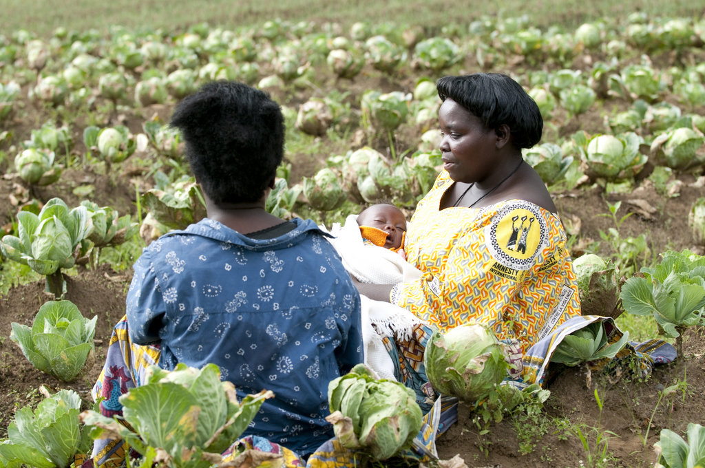 Assistance for Sexual Violence Survivors in Congo