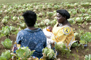 Assistance for Sexual Violence Survivors in Congo
