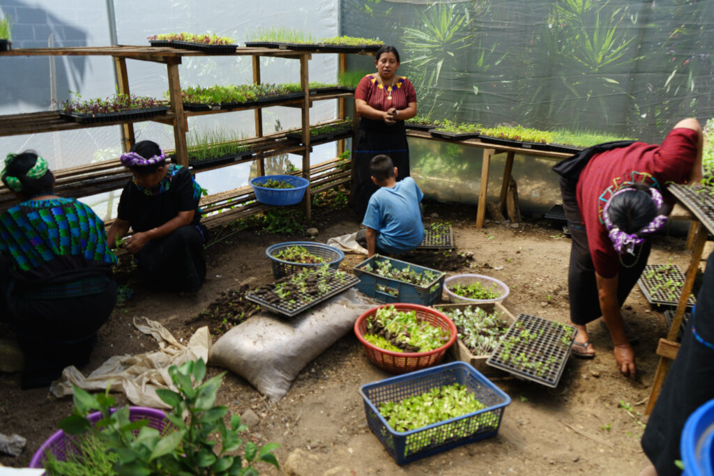 Help communities raise magnifying kitchen gardens