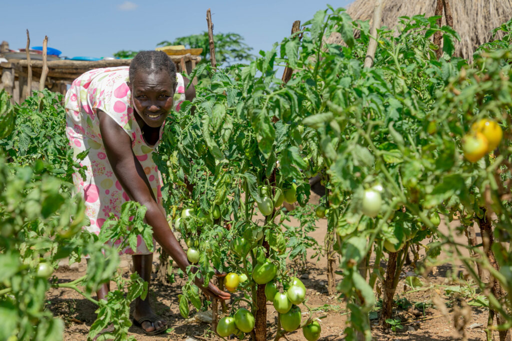 Help communities raise magnifying kitchen gardens
