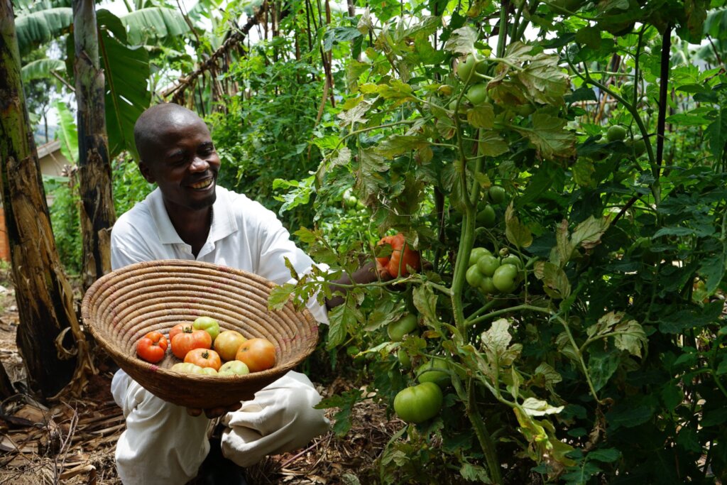 Help communities raise magnifying kitchen gardens