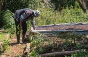 Help communities raise magnifying kitchen gardens