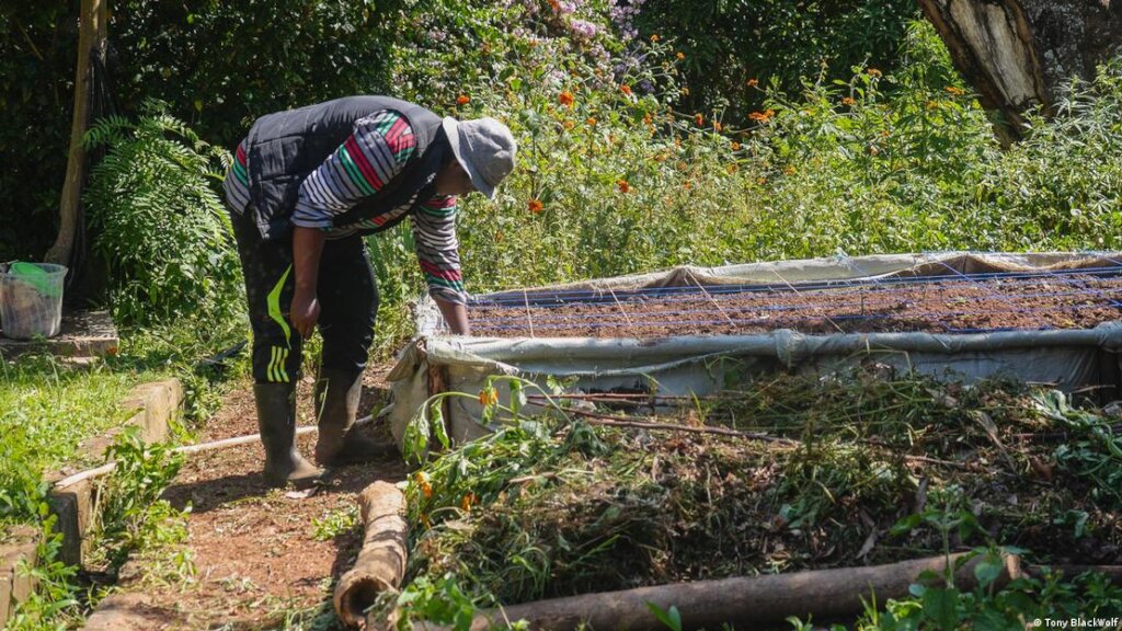 Help communities raise magnifying kitchen gardens