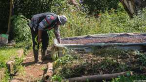 Help communities raise magnifying kitchen gardens