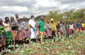 Food Security and Agricultural Project in Magwi