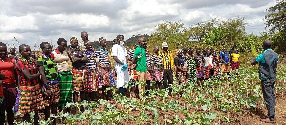 Food Security and Agricultural Project in Magwi