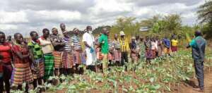 Food Security and Agricultural Project in Magwi