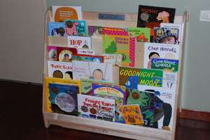 Bring Me A Book Bookcase