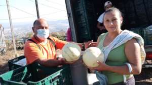 Delivery of food to families