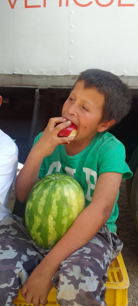 Kilometer of Nutrition