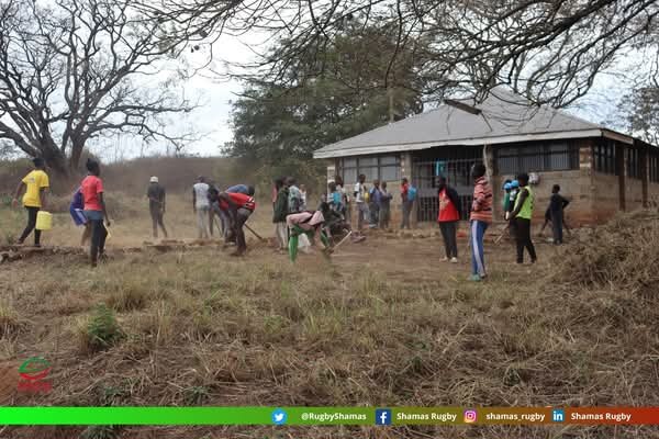 Tree Planting