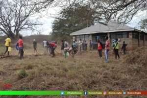 Tree Planting