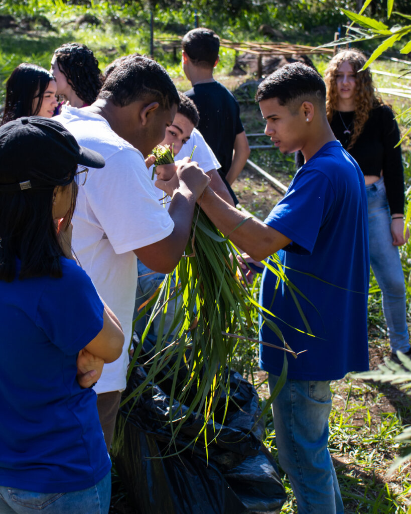 Reviving Traditional Uses of Forest Plants