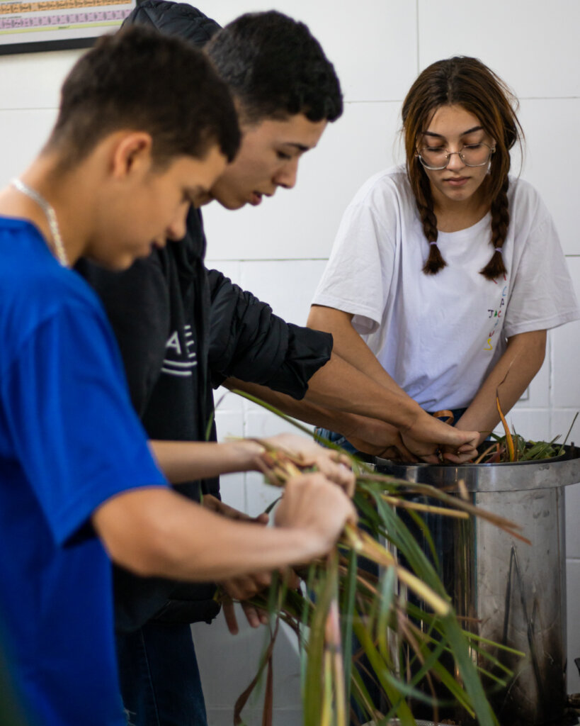 Reviving Traditional Uses of Forest Plants