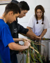 Distillation of medicinal plants