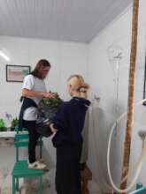 Preparing the still