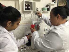 Women working with medicinal plants