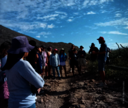 Interpretative trail