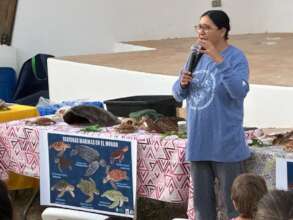Explaining about Marine turtles ID