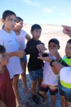 Getting to know a Seaurchin