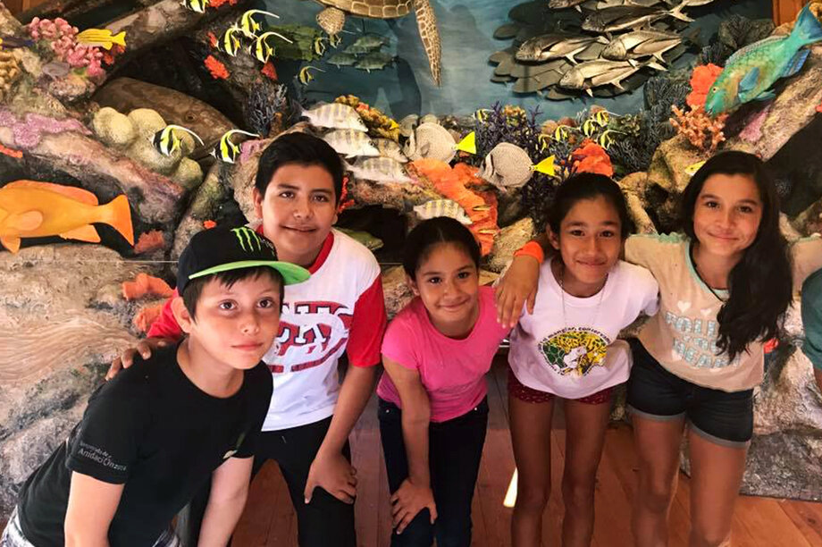 Help CAV Cabo Pulmo keeps its services!