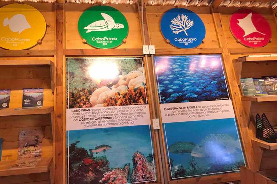 Help CAV Cabo Pulmo keeps its services!