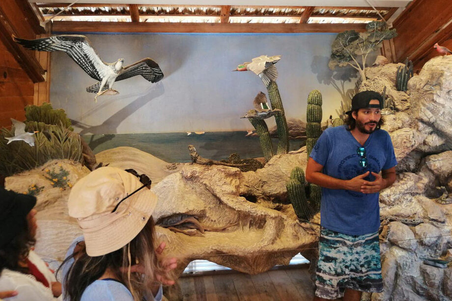 Help CAV Cabo Pulmo keeps its services!